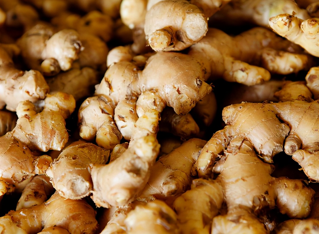 立春种生姜,冬天刚出芽的生姜怎样养护