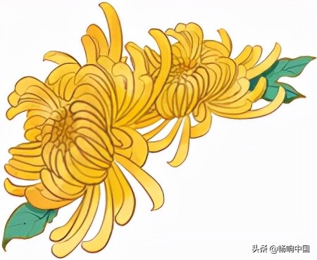 重阳节幼儿园敬老活动实施方案,重阳敬老情浓浓暖人心幼儿园