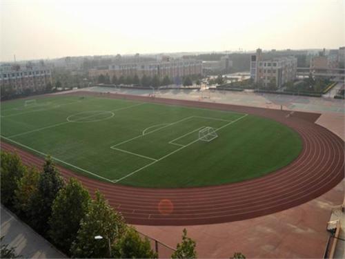 河北武邑哪所高中最好,河北武邑中学排名