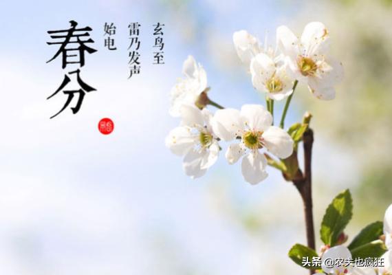20日春分,俗语“春分无雨是空年”什么意思?春分下雨有啥说法?