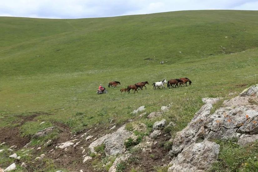 喀拉峻穿越琼库什台几天,喀拉峻穿越琼库什台