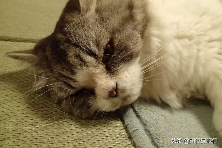 大阪小众景点,去大阪注意事项