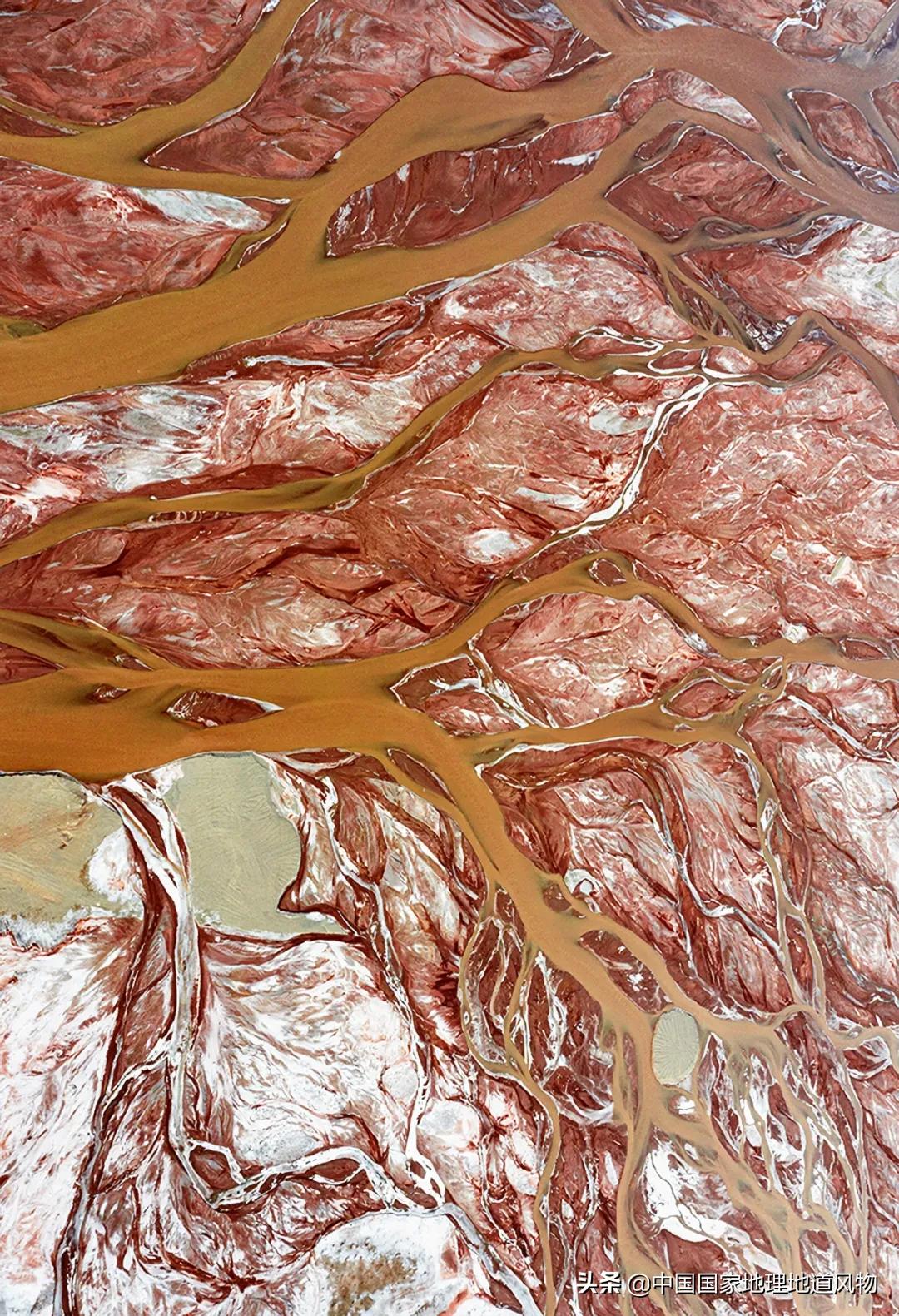 中国五大国家公园,中国十大私藏国家公园