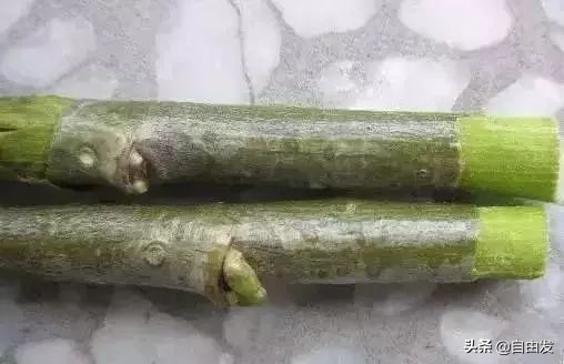 回忆儿时包头,70后的包头城市童年回忆