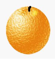 湘少版英语六上unit10测试,湘鲁版六年级上英语第一单元试卷