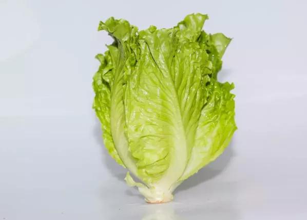 鍗佸牥瓒呭叏钄彍姘存灉,鍗佸牥鏂伴矞姘存灉