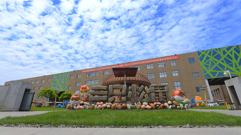 三只松鼠目前存在的盈利问题,三只松鼠为何增收不增利