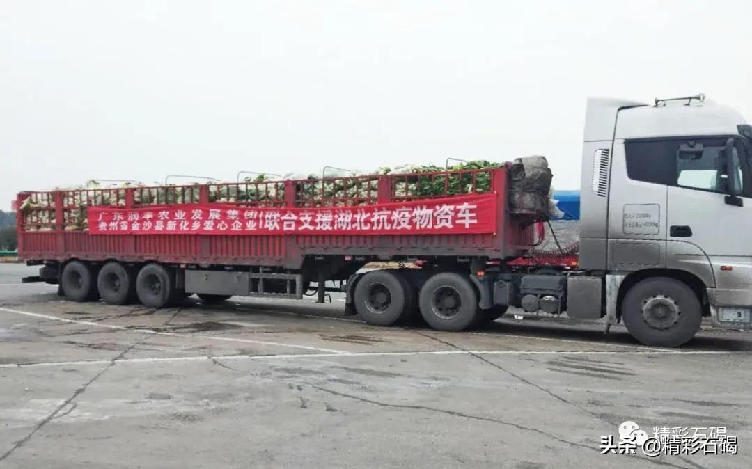 同比上升50%！润丰集团确保供港蔬菜供应，助力全国抗疫！