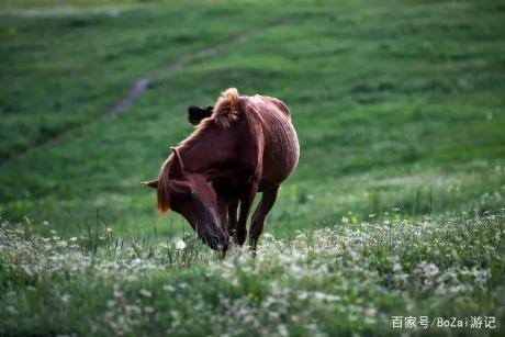 如何预防或减少药物副作用,免疫治疗药物副作用
