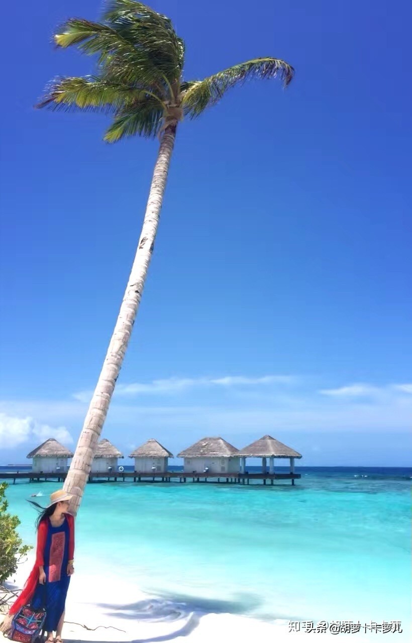 马尔代夫选岛教程,马尔代夫选岛app