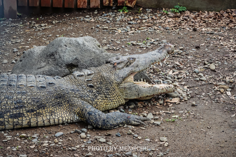 日本的哪个地方温泉最出名,日本最野的温泉