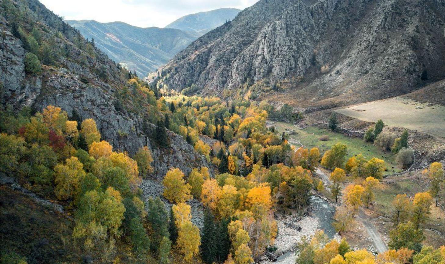 雪都阿勒泰草原,新疆阿勒泰大草原