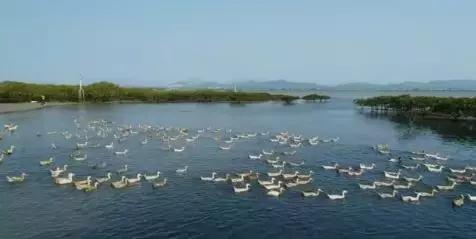 加一点盐，减一点盐，都能挣钱