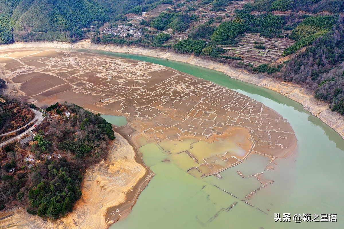 宁波牡丹花园有哪些,宁波古今牡丹园