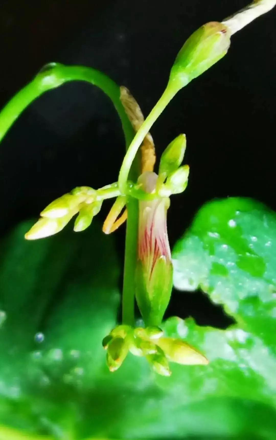 最经典的雨水节气古诗词,关于雨水节气最好的诗