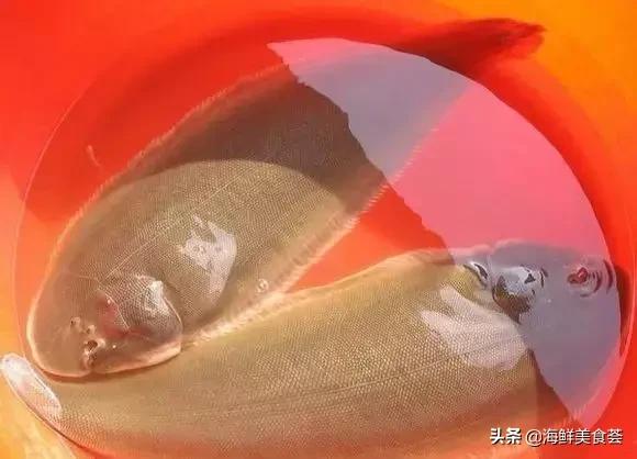 常见的鱼虾蟹等海鲜的认识,虾蟹类海鲜大全