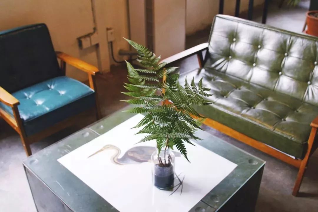 肖战无锡同款打卡,肖战美食重庆同款地点打卡攻略