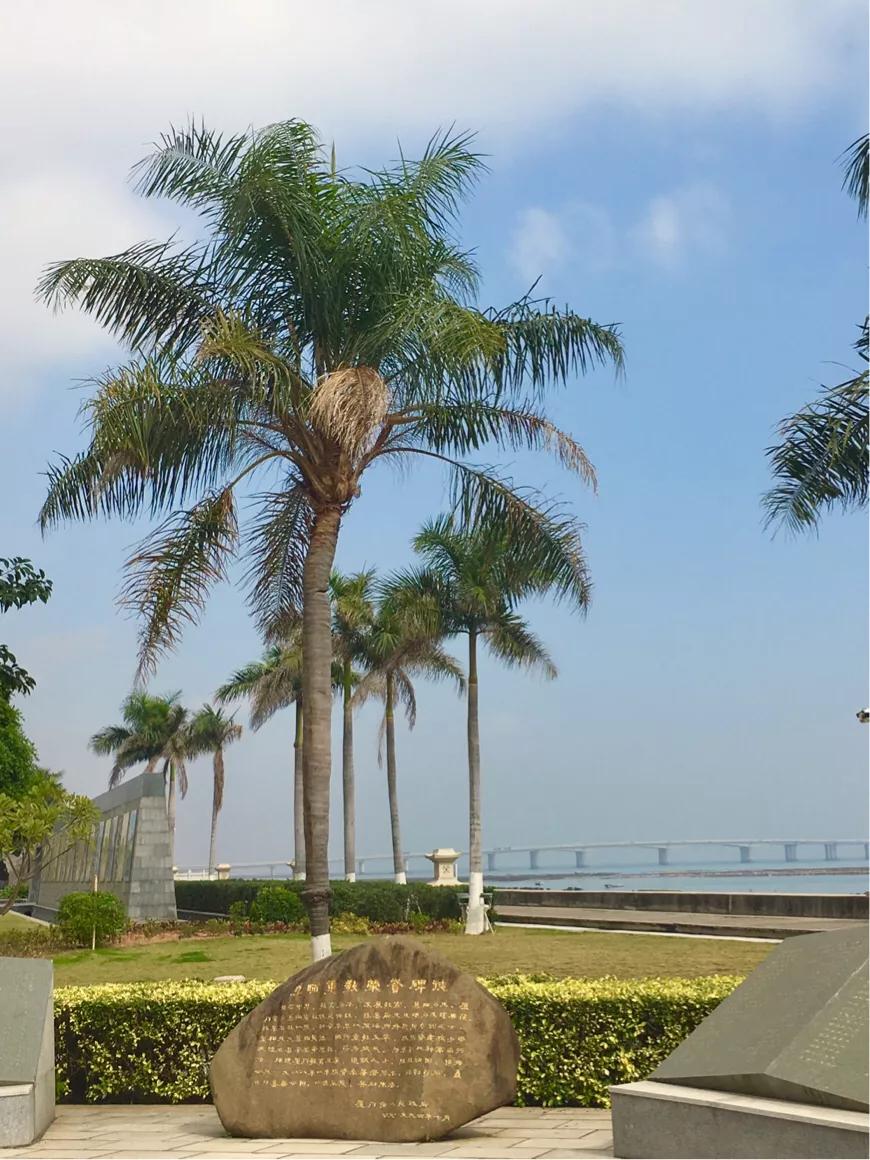 厦门集美区博物馆,厦门集美博物馆