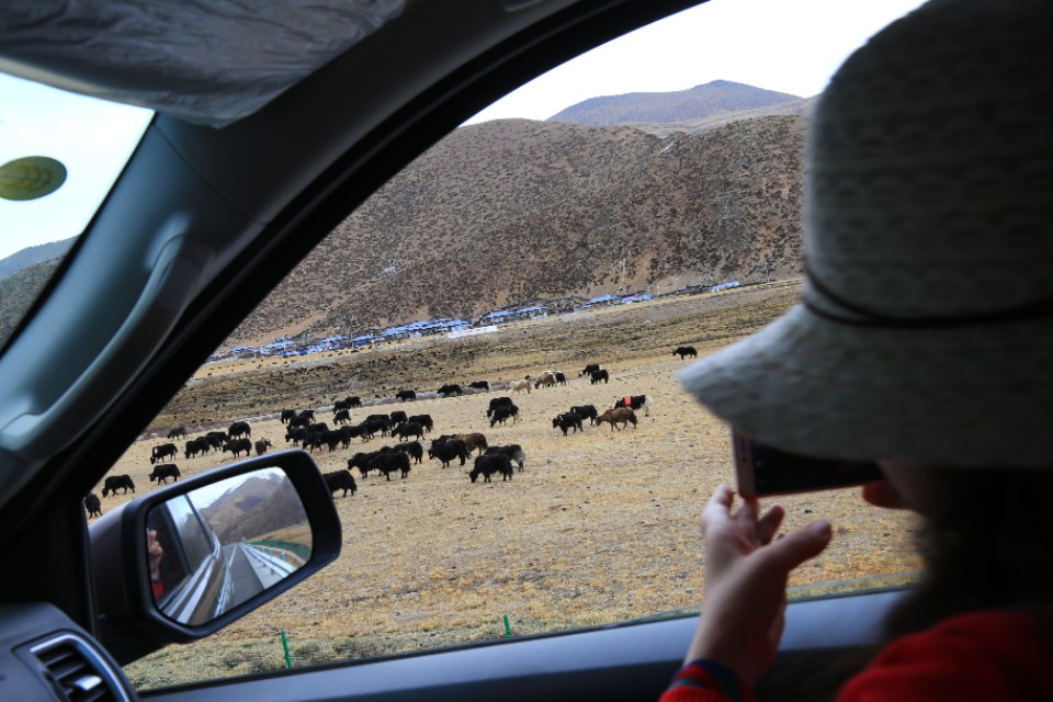 西藏旅游川进青出16天环线攻略,盘点西藏自驾游9条经典线路