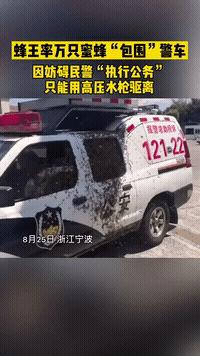 人生如戏，生如鼠蚁，当立鸿鹄之志，打通任督二脉，即刻飞升成仙