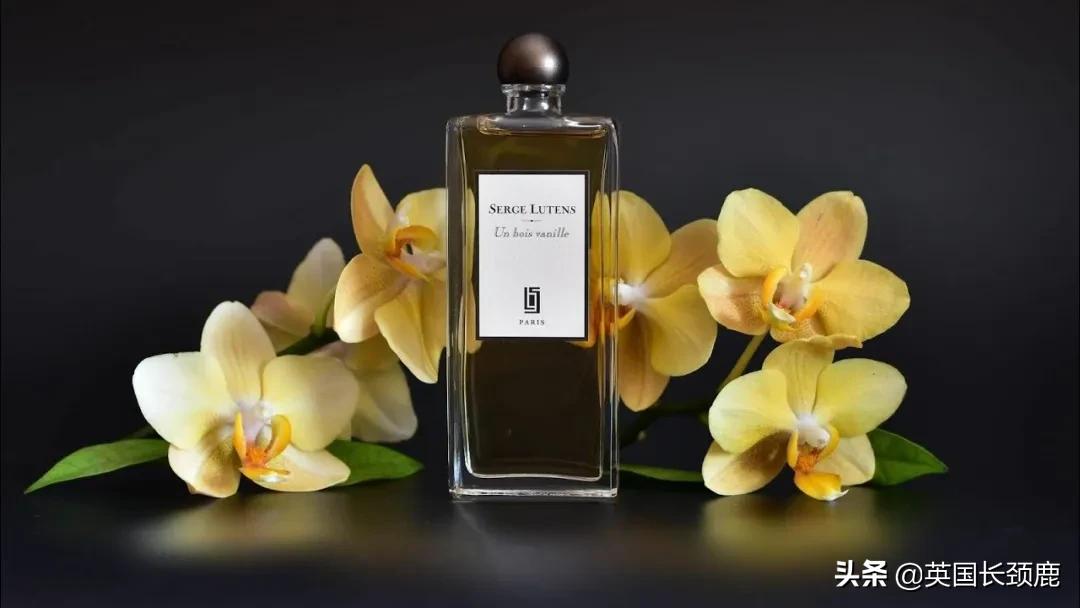 最适合秋冬季节的香水,冬天适合的英伦香水