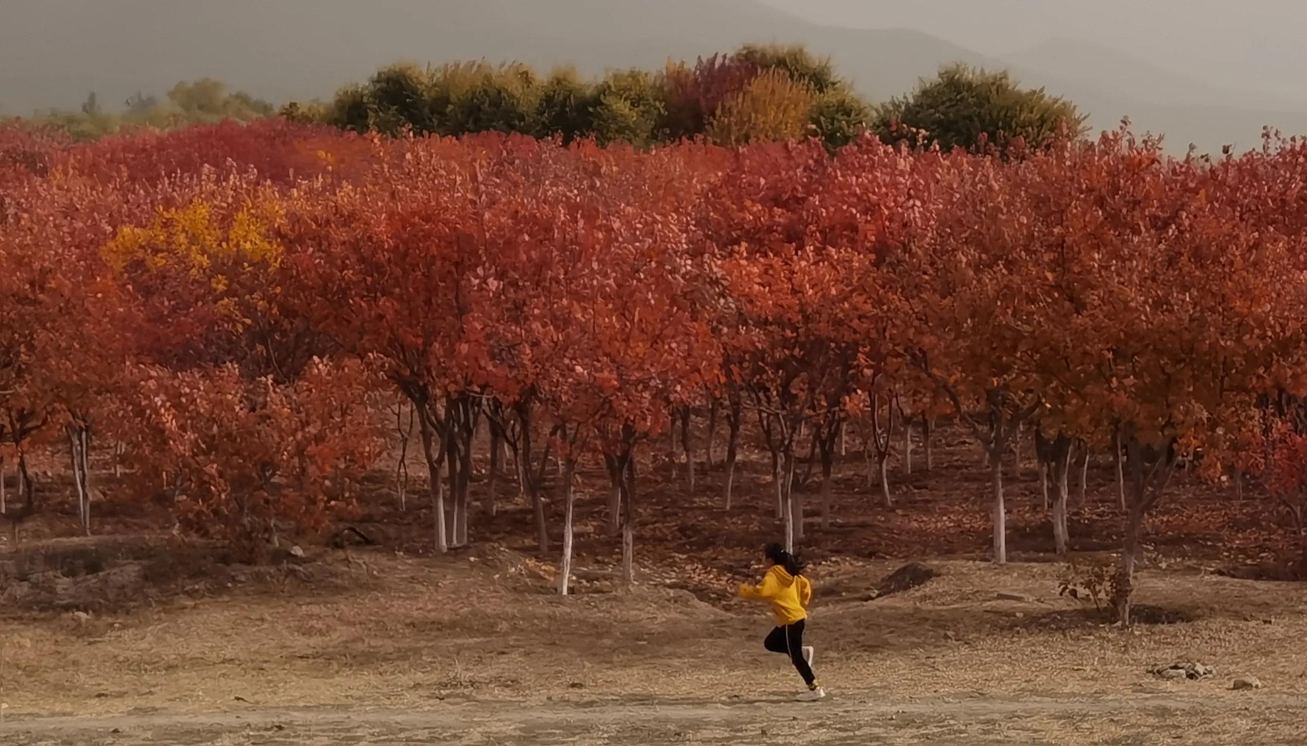 适合猫冬养老旅居好去处,海南东方旅居攻略