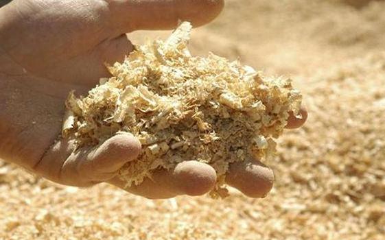 锯末发酵的养花肥料有哪些,喜欢养花就避免不了虫害