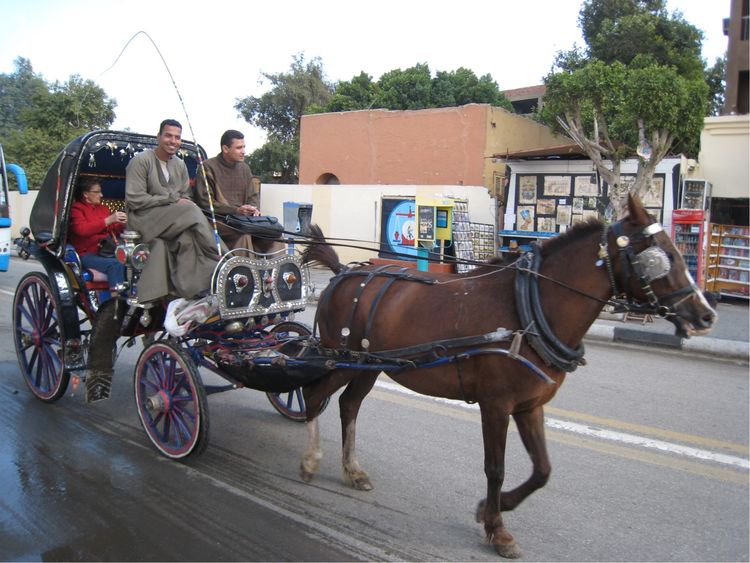 2017埃及文明古国探秘,神秘古国埃及