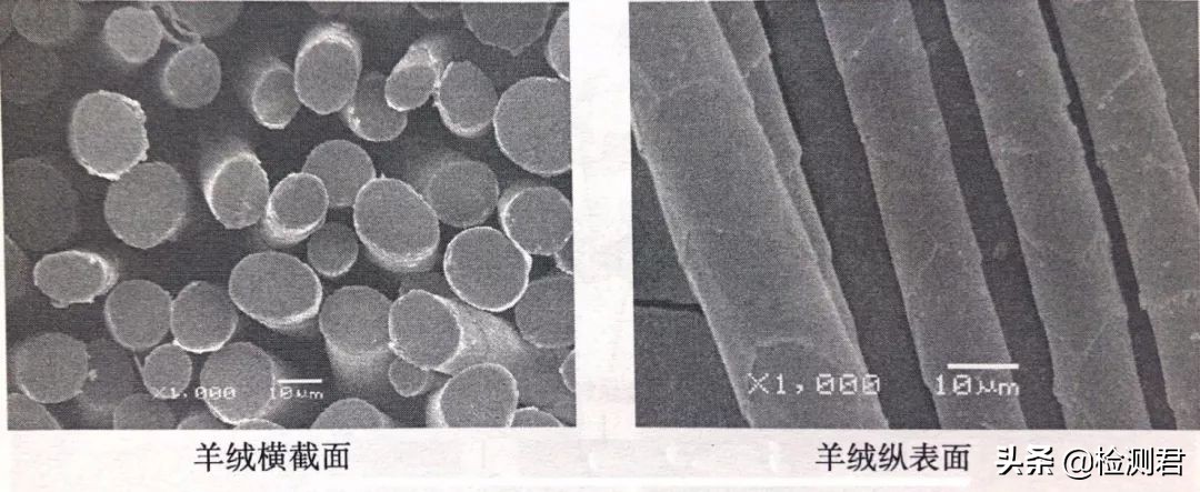 动物毛怎么收藏,各种动物毛纤维