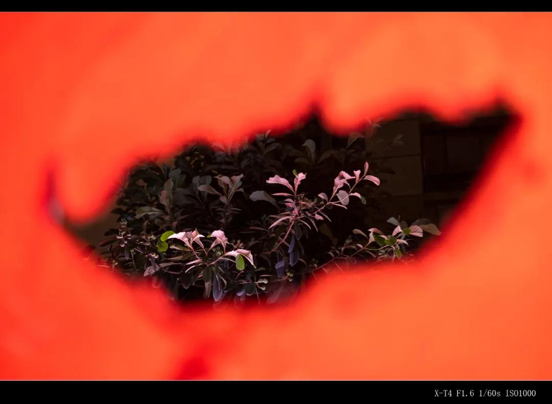 富士微单x-t4深度测试压轴,富士x-t4拍照怎么样