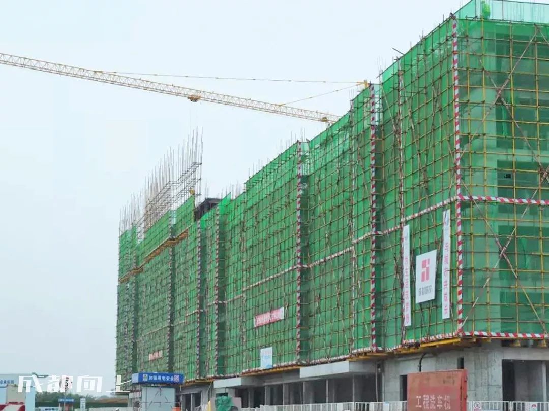 大运村建设火热朝天，成都大学已经上天