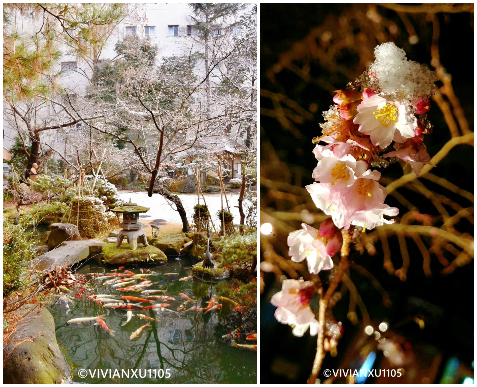 塑料母女日本东北深度游(秋田山形)