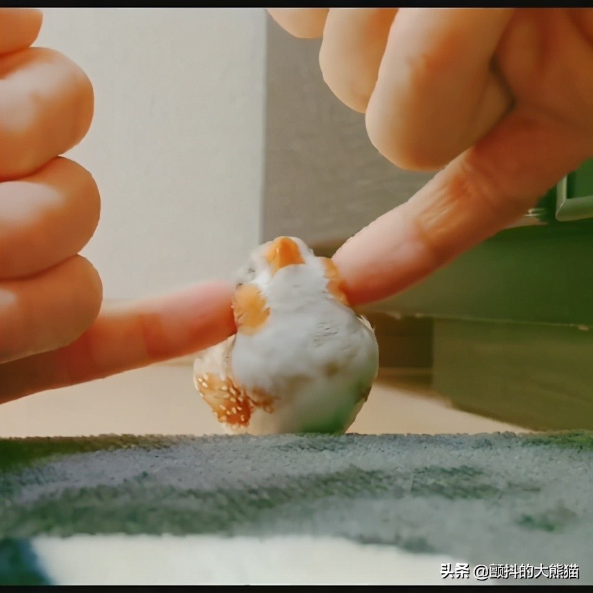 瓒呮不鎰堢殑灏忛笩,瓒呮不鎰堢殑灏忛笩瑙嗛