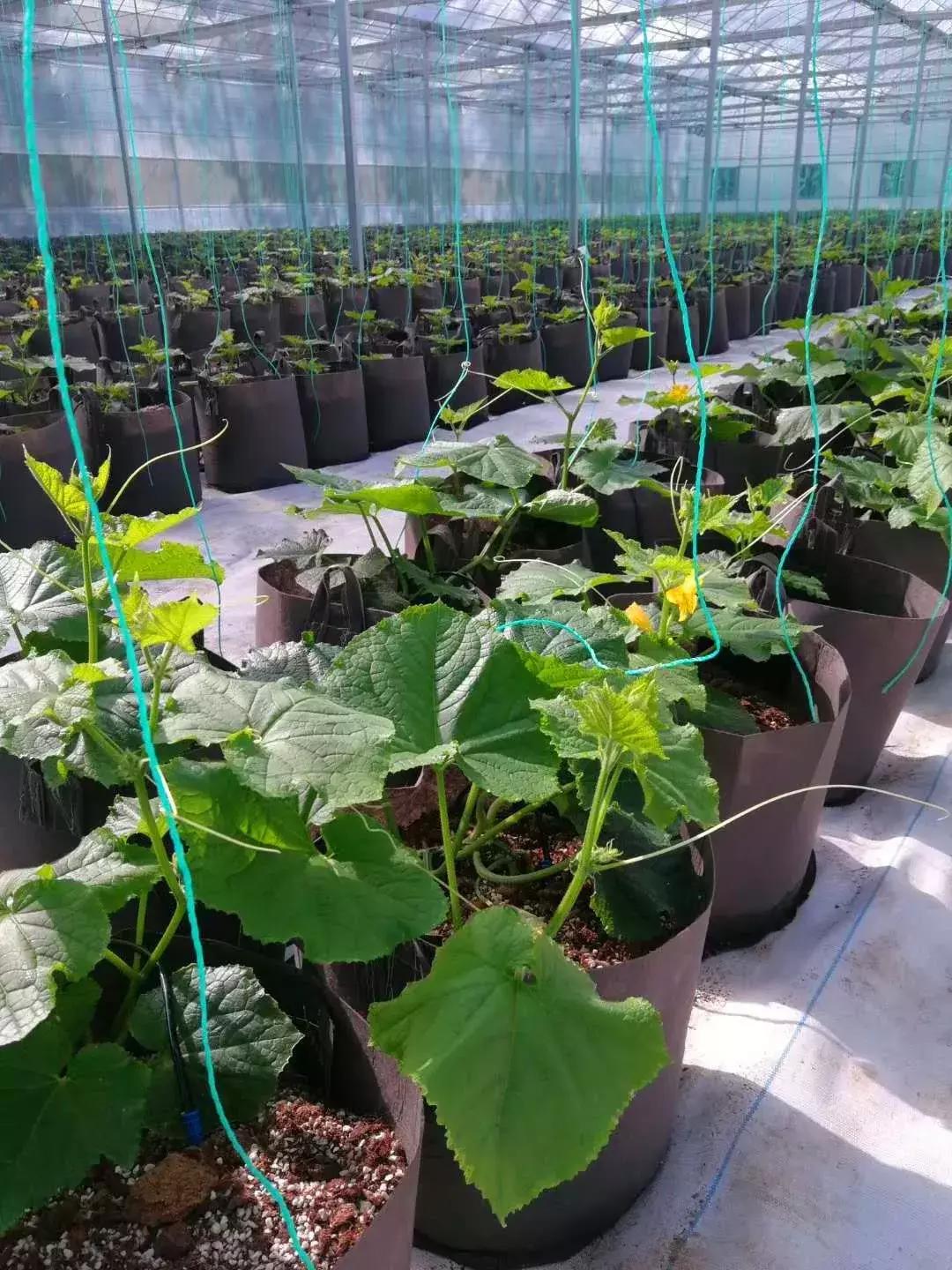 120亩自然营地,120公顷的庄园