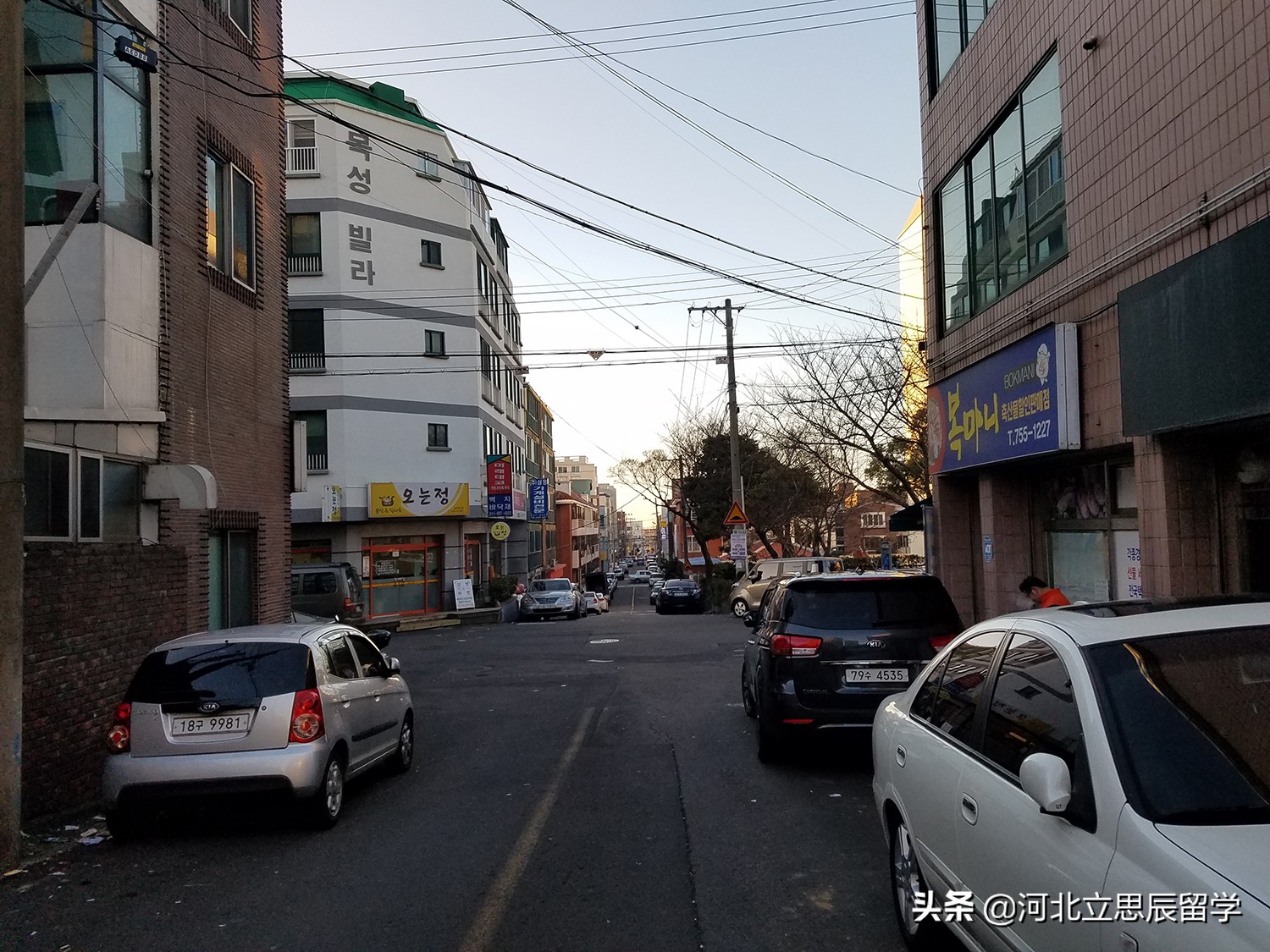 叮咚韩国版,2022年叮咚泉秋季学费