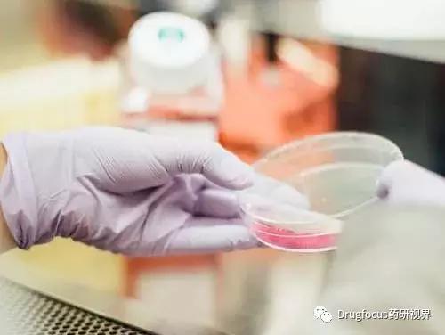 FDA授予I型糖尿病新药teplizumab(RPV-031)突破*药性**物资格