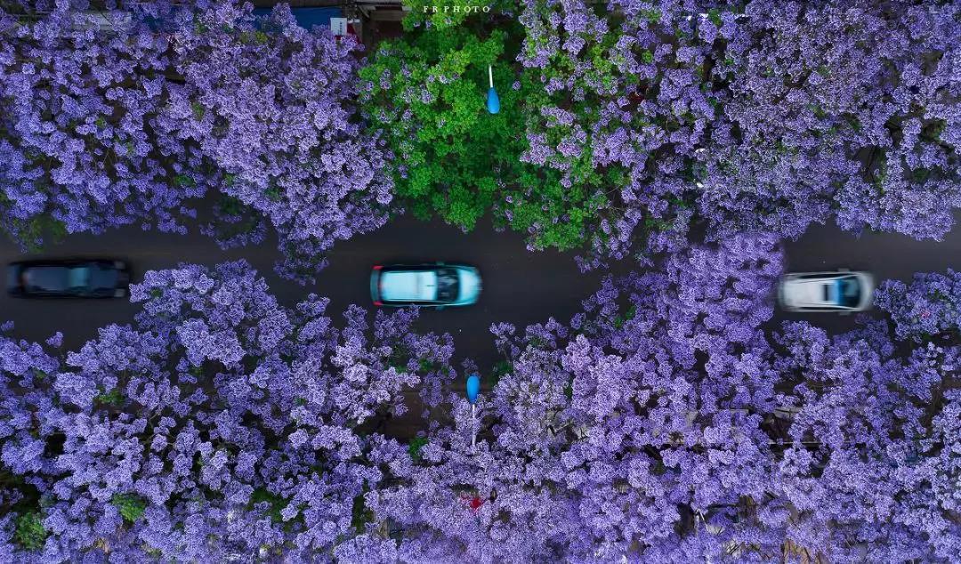 戴口罩的春节,戴口罩的冬天过去了