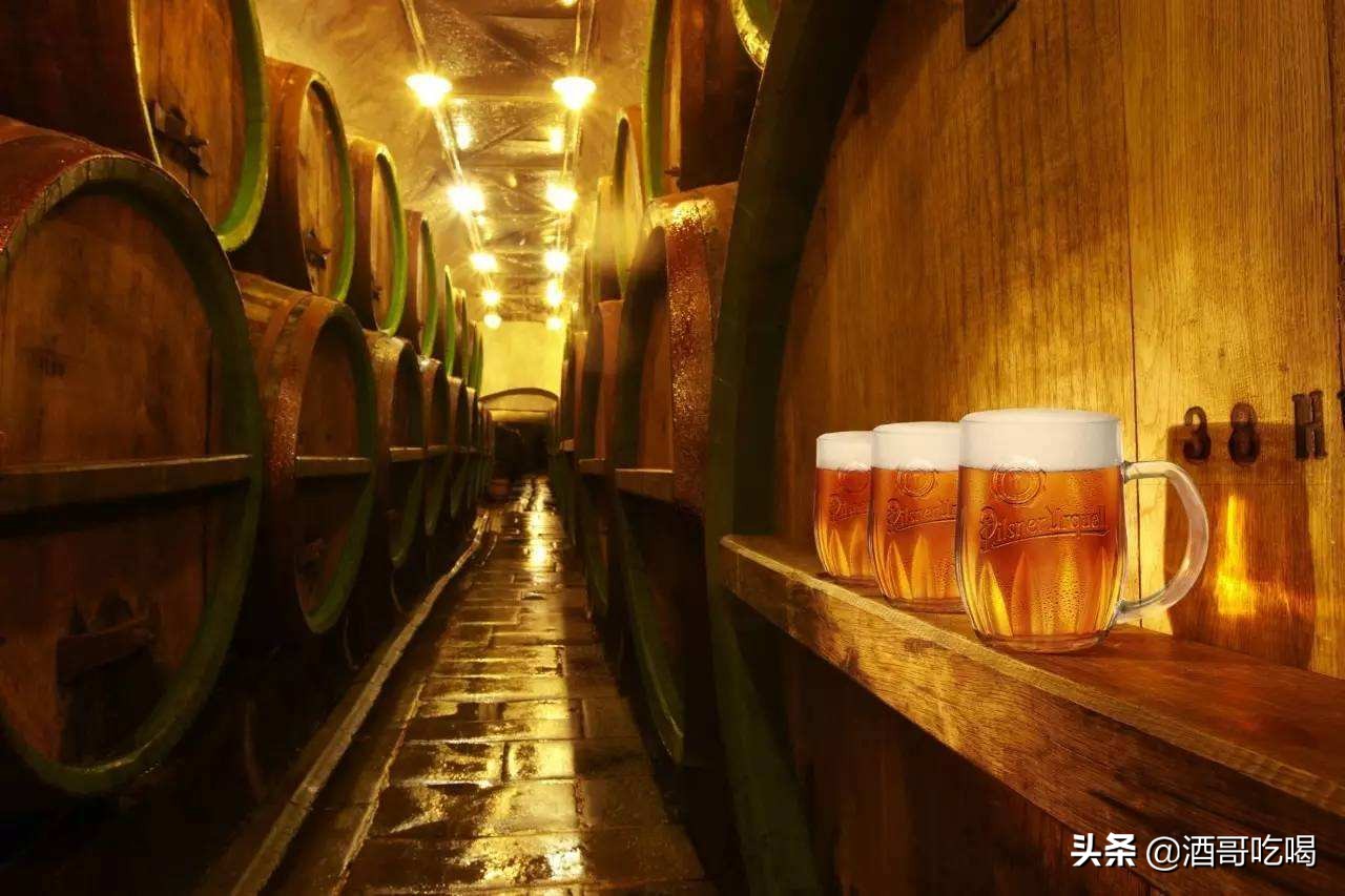 啤酒初学者入门的知识,皮尔森啤酒是工业啤酒吗