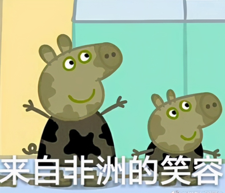 年薪30万,越来越多的大学生,毕业后去养猪