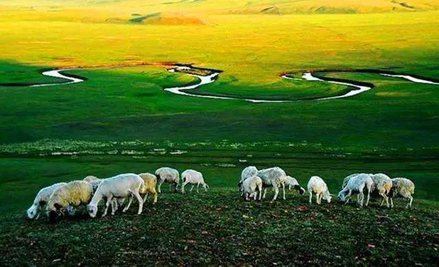 大兴安岭呼伦贝尔自驾攻略 (大兴安岭到呼伦贝尔大草原气候)