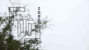 小鸟天堂真实现状,小鸟天堂后续怎样了