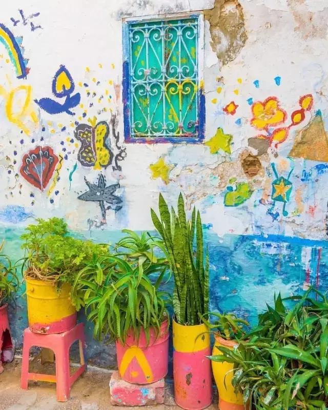 免签进一步扩大开放,免签后游客暴涨