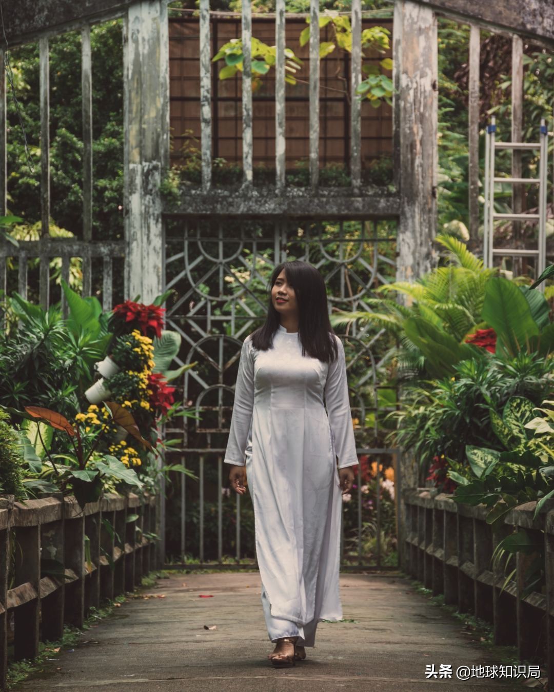 你得不到的越南姑娘｜地球知识局