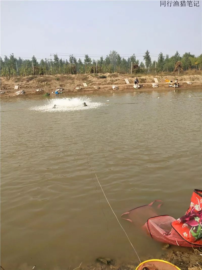 2019钓鱼日记,钓鱼笔记视频