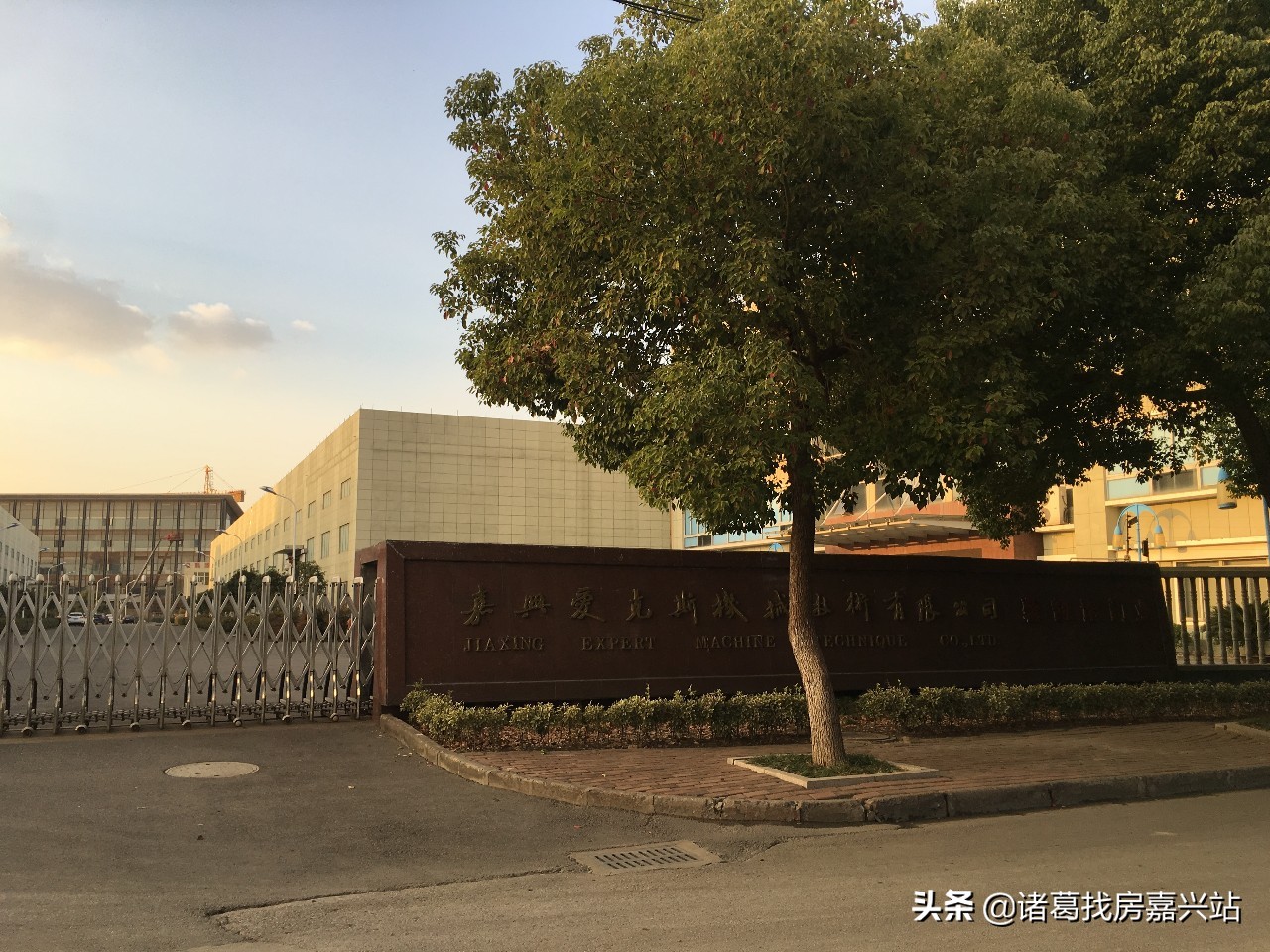 谁在嘉兴黑土地上“种”房子?