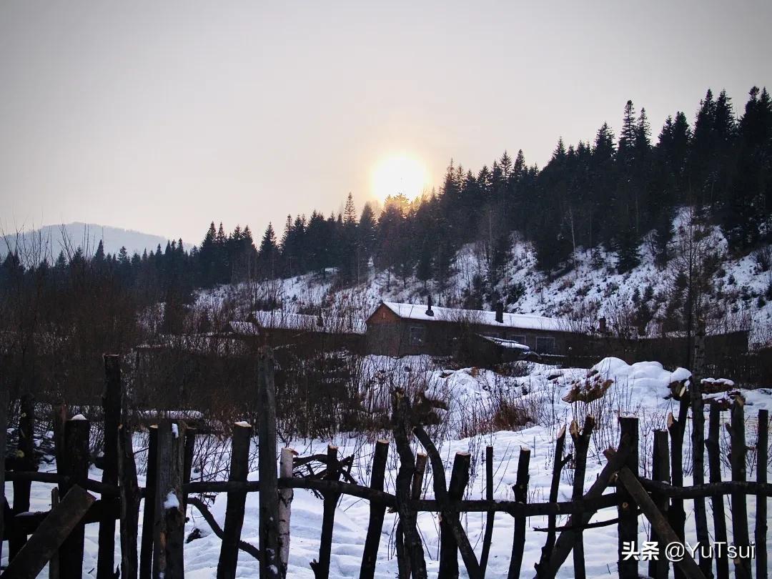 福七背后的故事,福七案件