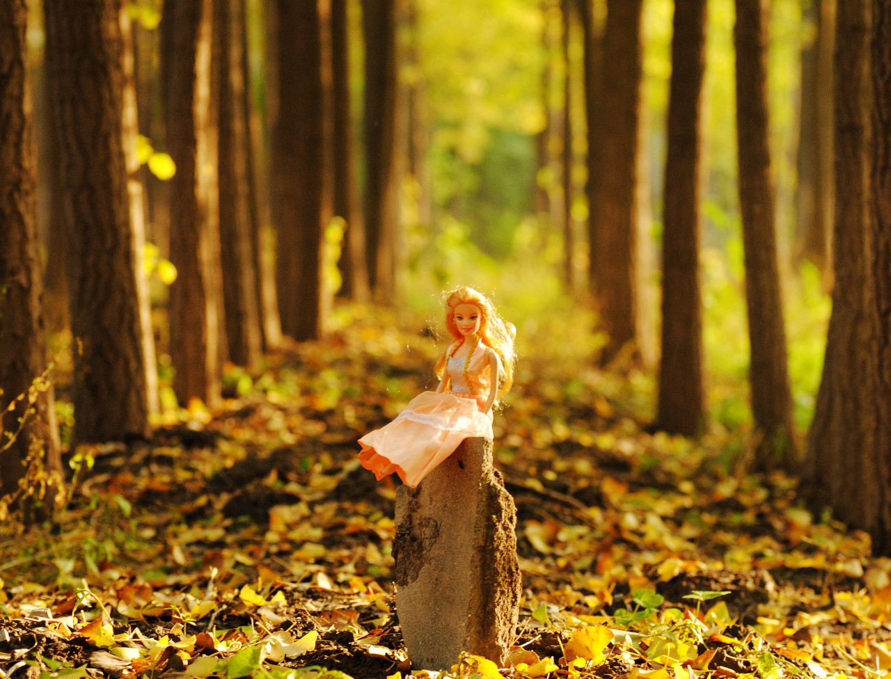 去感受秋天的魅力,在冬日暖阳中感受秋的气息