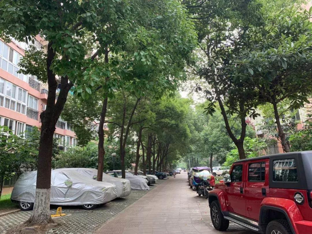 富丽山庄,富丽山庄好吗