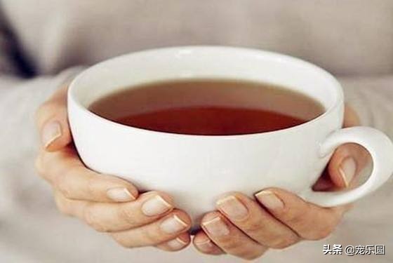 狗女来大姨妈了，铲屎官们知道要怎么处理吗？