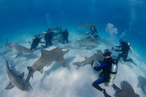 帕劳是不是世界上最小的国家,南太平洋帕劳是哪个国家